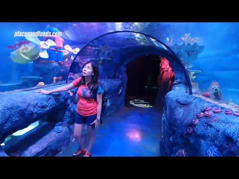 RRVLOG#77 - WATER PARK | LEGO LAND Malaysia 🇲🇾. 