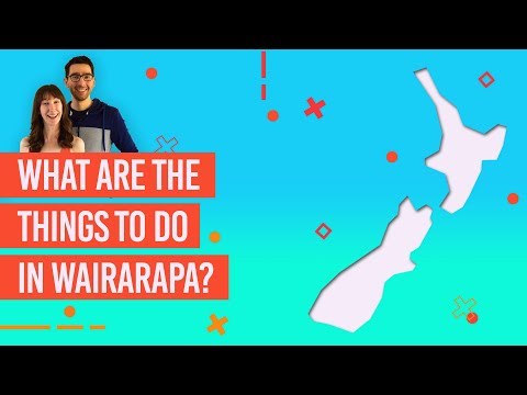 🗺️ What are the Things to Do in Wairarapa? (Martinborough & Greytown)