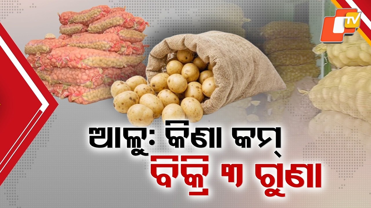 Massive Gap Between Wholesale and Retail Potato Prices Sparks Concern