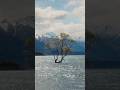 Best of New Zealand’s South Island