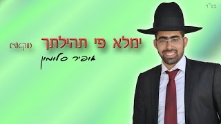 ימלא פי תהילתך -  אופיר סלומון | ווקאלי (2014)