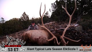Giant Typical Late Season Elk Sizzle 1