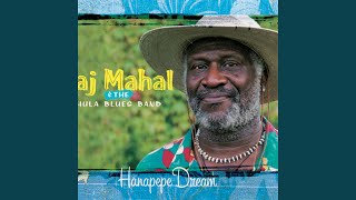 Video voorbeeld van "Taj Mahal - Hanapepe Dream"