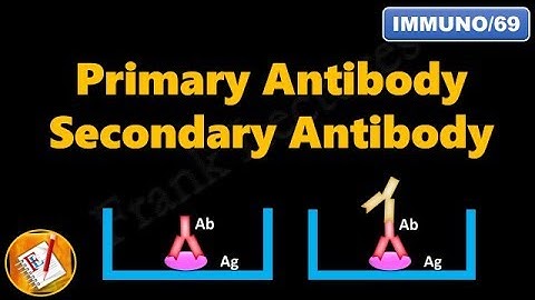 Primary and Secondary Antibodies (FL-Immuno/69)