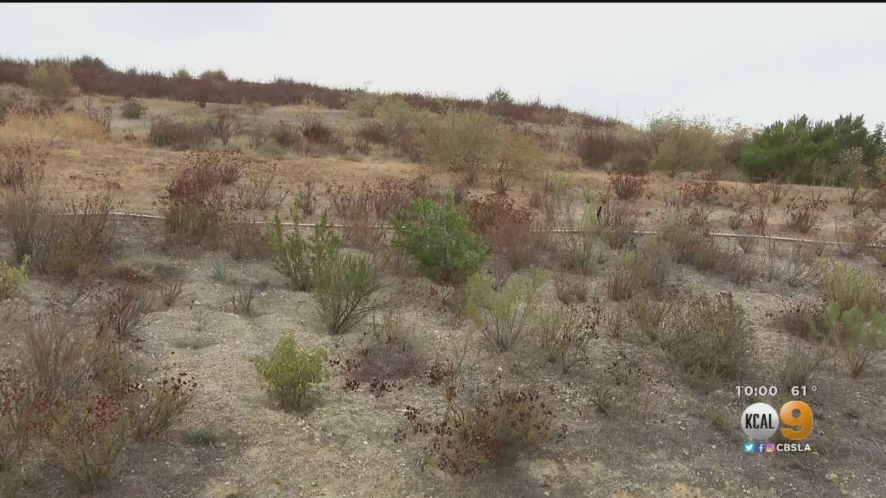 Southern California Braces For Strong Winds, Elevated Fire Danger - YouTube