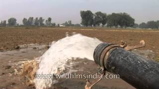 Pumping ground water for agriculture in India