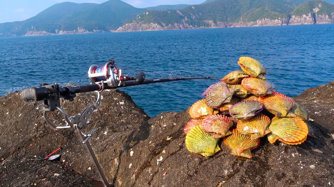 【リトグラフ】アーネスト・R・ノーリング 流木のある太平洋岸北西部の海岸のカモメ Aiming for big grouper and rockfish with a large amount of