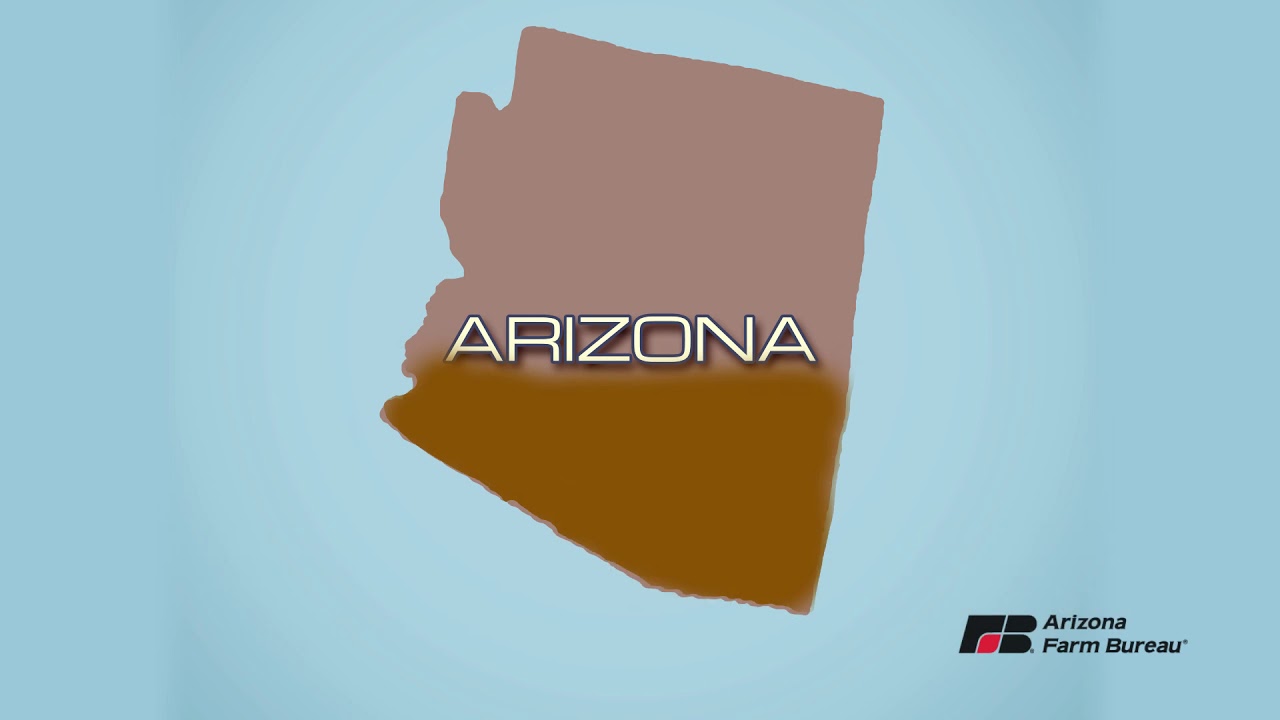 The Nature of Arizona Soil YouTube