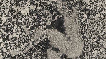 The Innovation and Experimentation of Jack Whitten | Collection in Focus