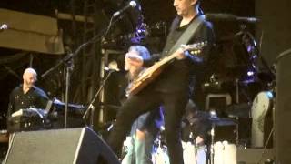 Plant Gonna Leave You 16 07 2014