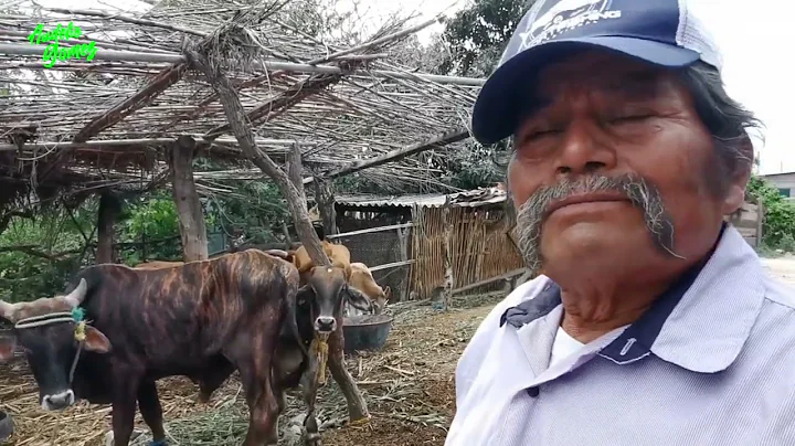 Paisanos conozcan la historia de Doroteo Venegas d...