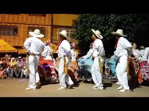 Danza los Monos Armero Guayabal