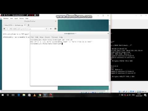 Security Project - CVE-2014-6271: Shellshock exploit