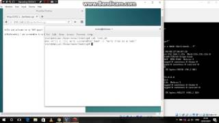 Security Project - CVE-2014-6271: Shellshock exploit
