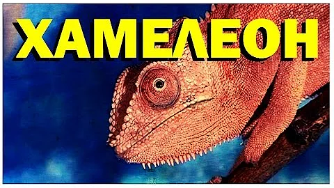 Галилео. Хамелеон
