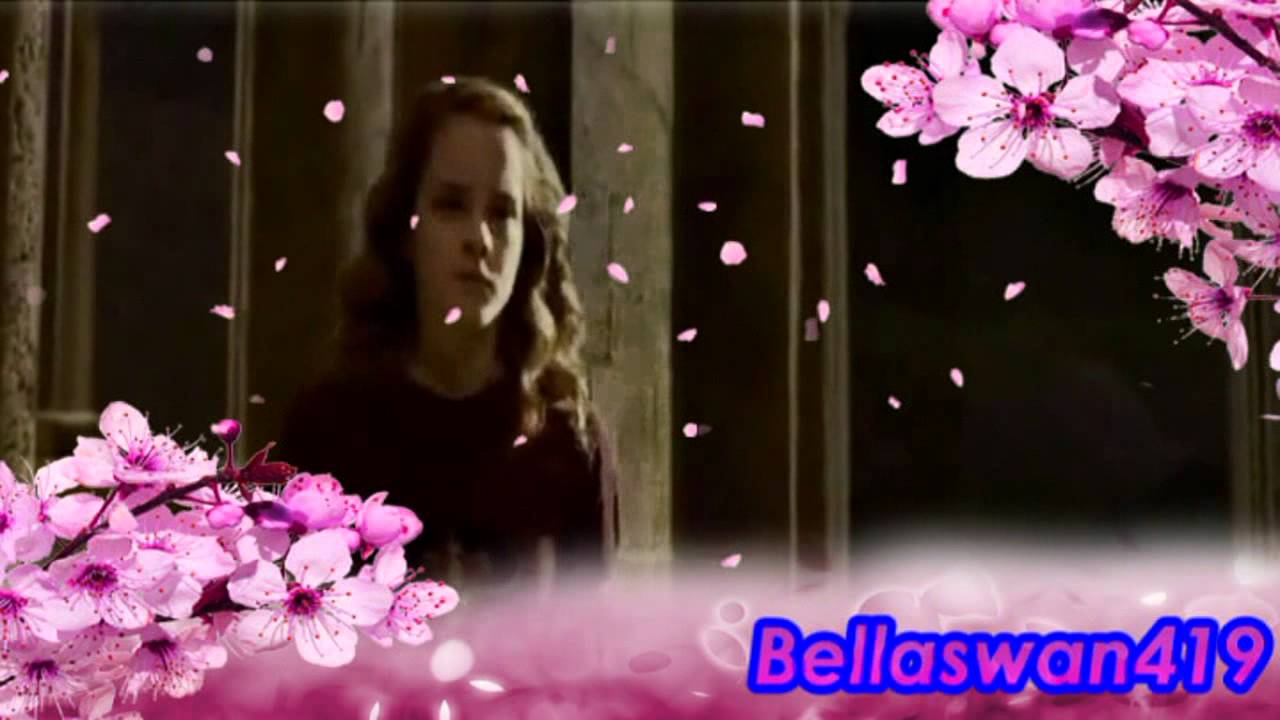 Harry&Hermione Un'Amico è Cosi