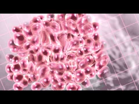 Cancer Cells - YouTube