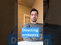 Software tech lead and orchestra director