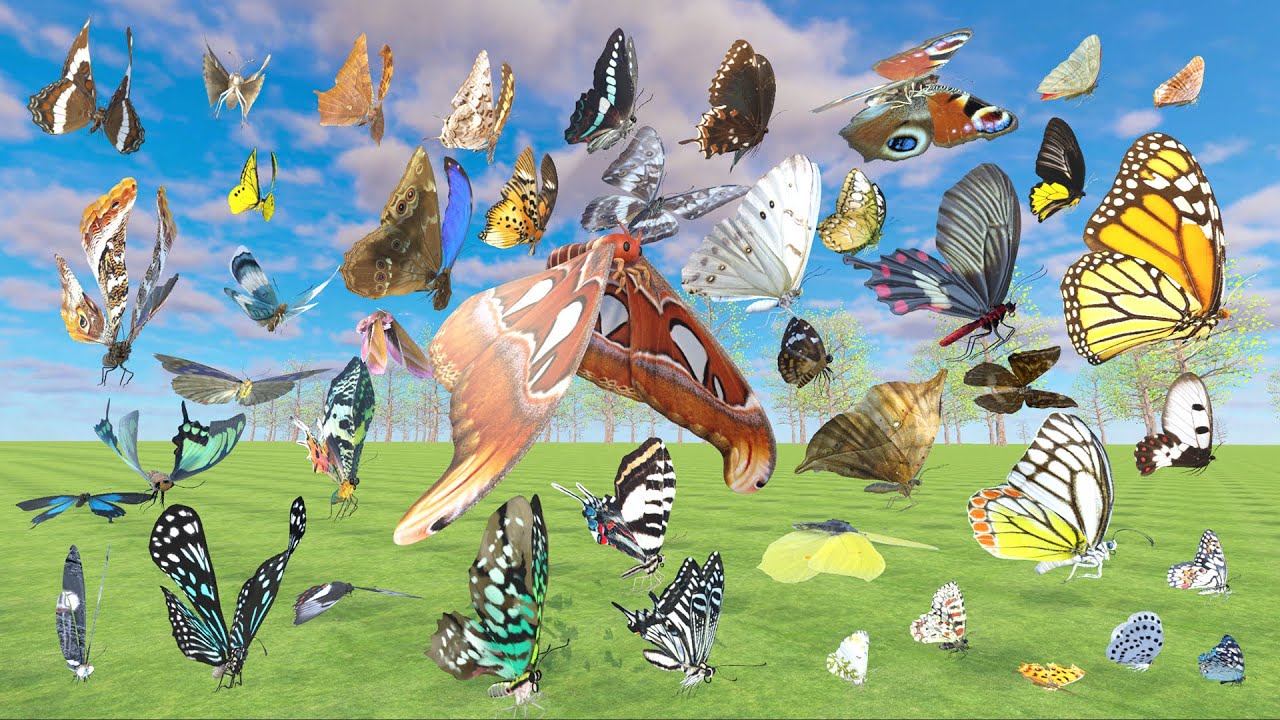 Butterfly AND Moth 3D Speed Comparison  - Animal Animation Comparison