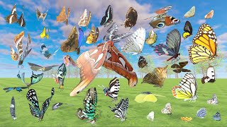 Erfly And Moth 3D Speed Comparison - Animal Animation Comparison