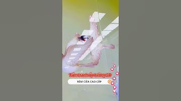 Tranh tráng gương 3d ốp tường tấm lớn tại tphcm #shorts #tranh3d