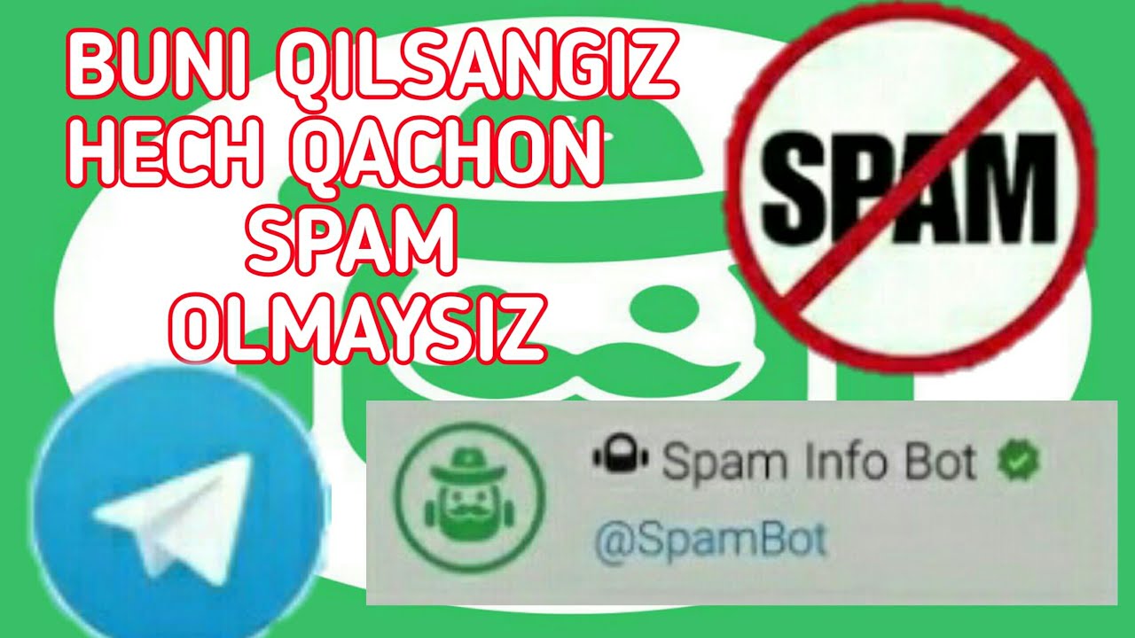 Sizning külotlaringiz orqali mushukingizni korishingiz mumkin