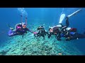 Daily diving in Sharm El Sheikh 06.2023