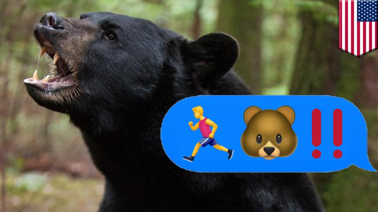 山中路跑被熊追 少年不幸身亡 YouTube