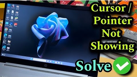 Laptop Mouse Cursor not Showing | Computer me Mouse Pointer nahi Dikh raha hai Windows 11 | in la...