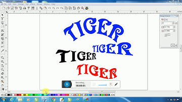 Flexi 8.1 how  to modify letter