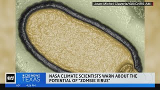 Scientists warn about "zombie" virus screenshot 4