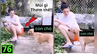 Các Video Hài Hước Nhất Cười Vỡ Bụng ( P76 ) | Hài 5 Phút