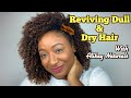 These products were EXACTLY what my DULL &amp; DRY 3C hair needed