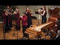 Telemann: Flute Concerto in D Major, Hanneke van Proosdij, 6th flute, Pastorale &quot;Napolitano&quot; TWV 51