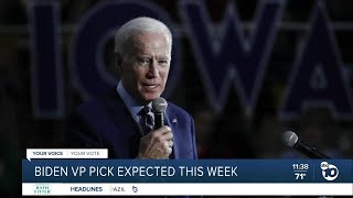 Local expert weighs in on Biden's possible VP choice
