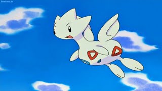 Misty's Togepi evolves into Togetic