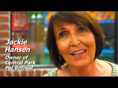 video:Central Park Pet Retreat Testimonial