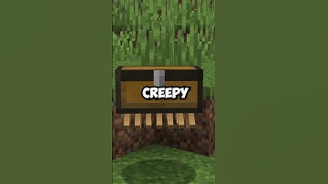 This New Minecraft Chest Is Uhh...