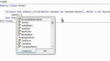 Working with labels in visual basic 2008