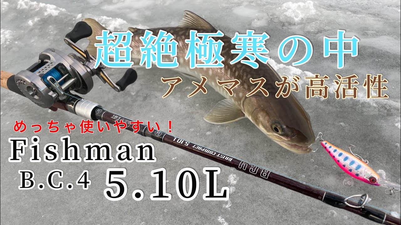 フィッシュマン Fishman BC4 5.10LH - atlacasaazul.com