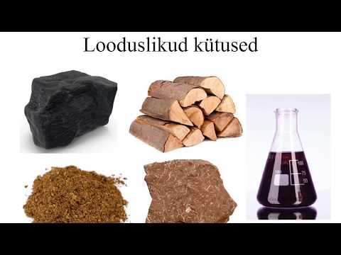 Video: Kust tulevad fossiilsed kütused?