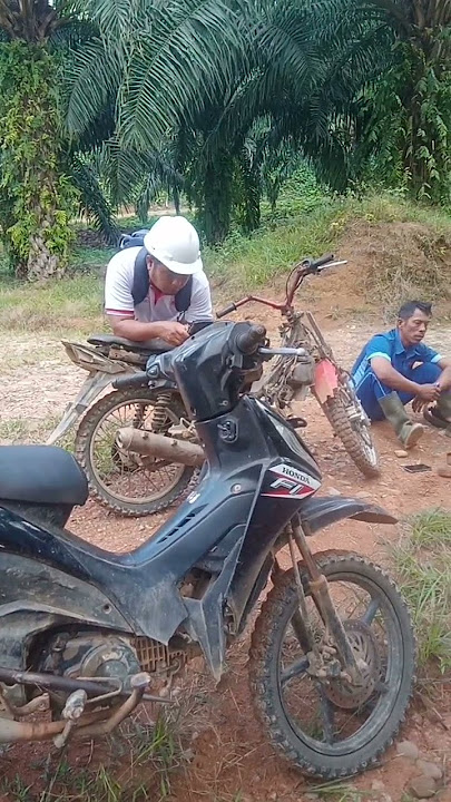 salam tandan buah berduri A3P Bengkulu #dailyvlog #automobile #sawit #story #parapejuangrupiah