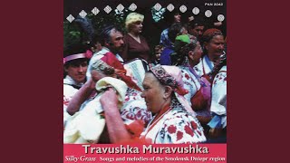 Travushka Muravushka (Silky Grass)