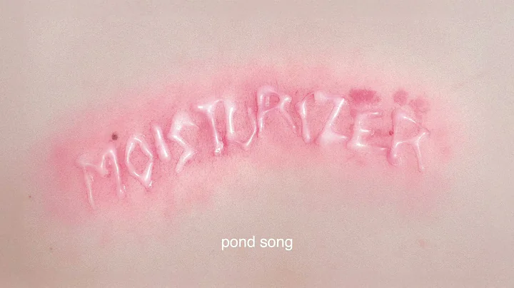 Wet Leg - pond song (Official Audio)