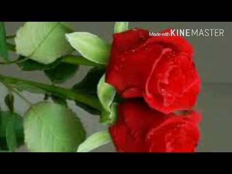 القمري الفنان عتيق النماري