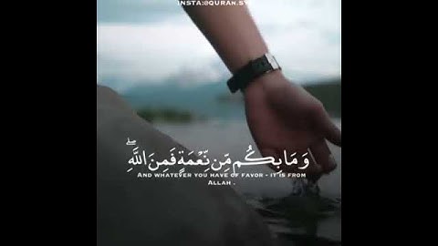وما بكم من نعمة فمن الله.. 🌹❤️ بصوت القارئ عبدالرحمن مسعد