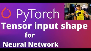 52 - Input Shape of Tensor in Neural Network for PyTorch | Deep Learning | Machine Lerning