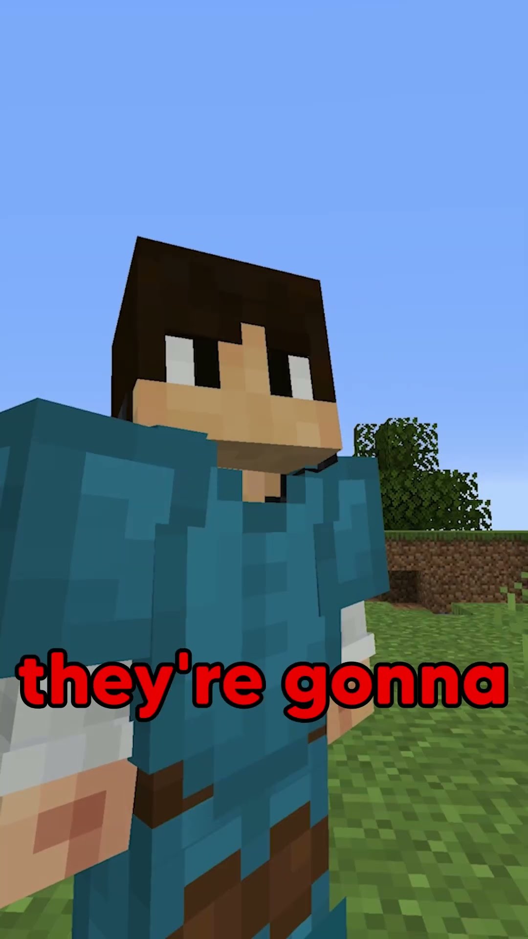 Minecraft, But It's YOU vs ME…