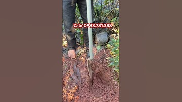 Dẩm cổ cò bản đại chuẩn sịn thép nhíp oto chắc khoẻ giá lại rẻ!