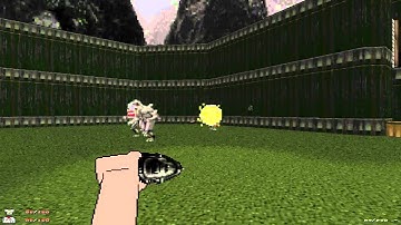 Doom wads - Mr. Smiley Head